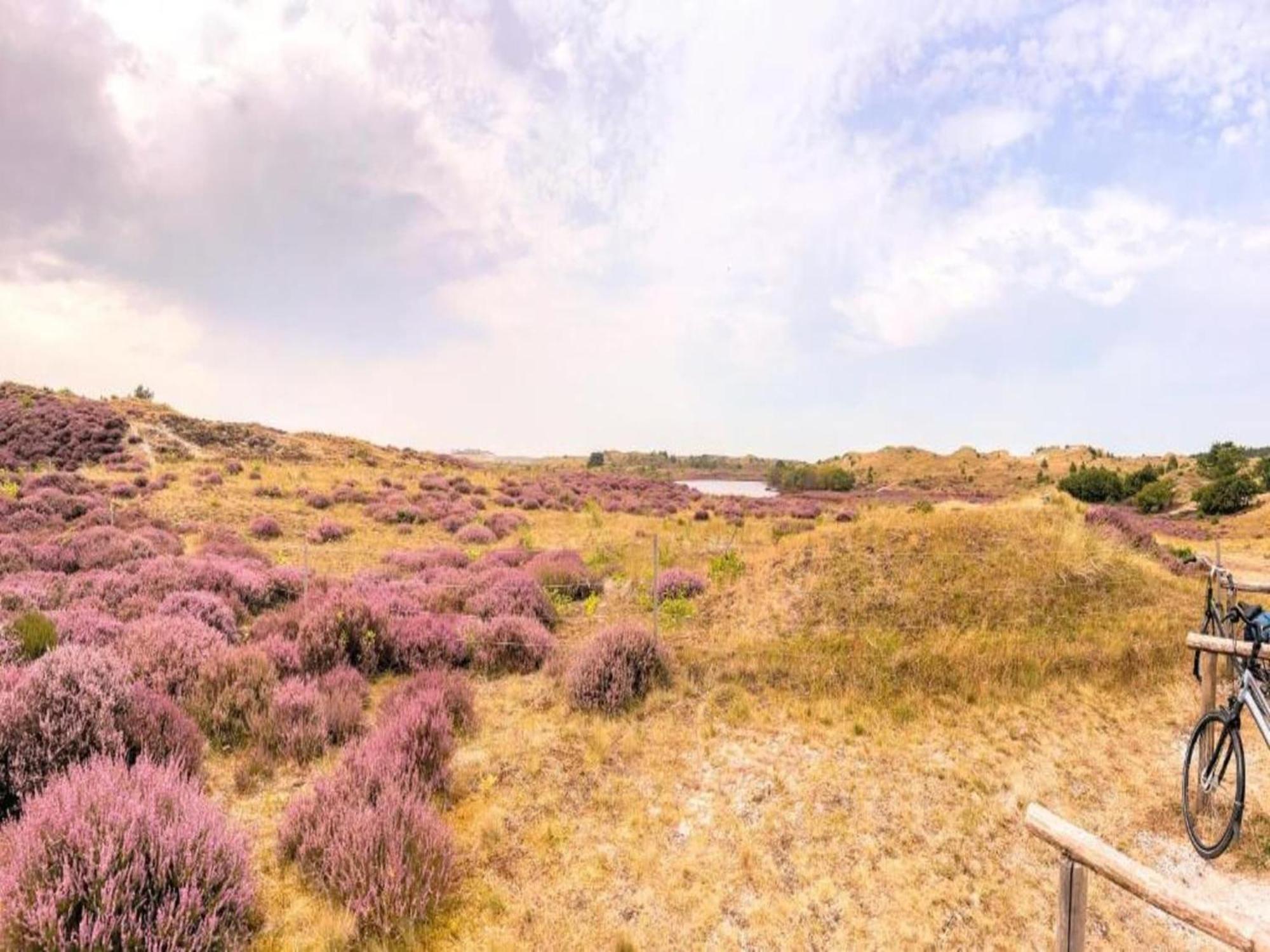 Cozy Holiday Home In Julianadorp With Garden Dış mekan fotoğraf